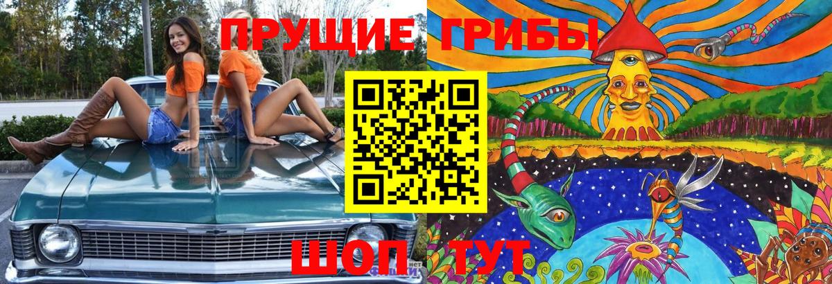 Галлюциногенные грибы GOLDEN TEACHER Иркутск