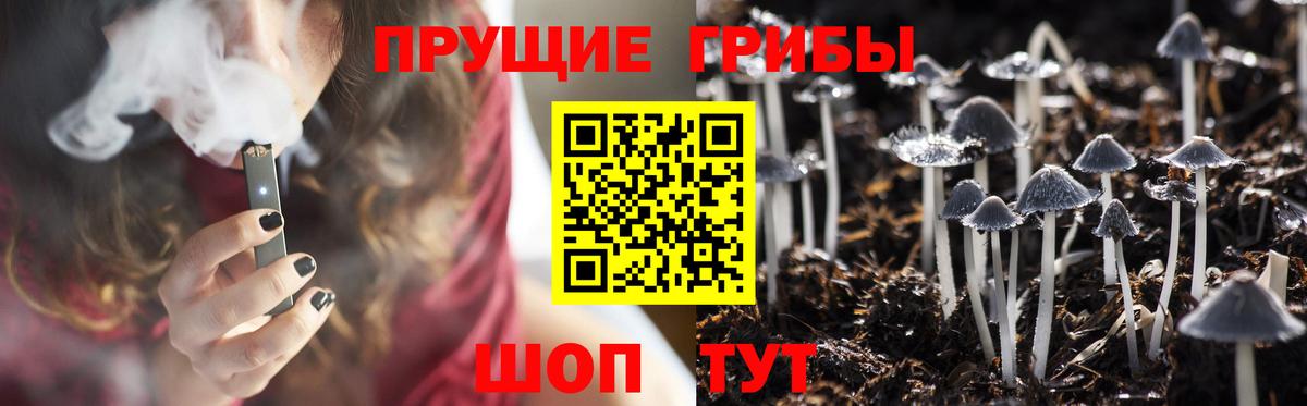 Галлюциногенные грибы GOLDEN TEACHER  Галлюциногенные грибы мицелий  Иркутск  Вход с VPN 